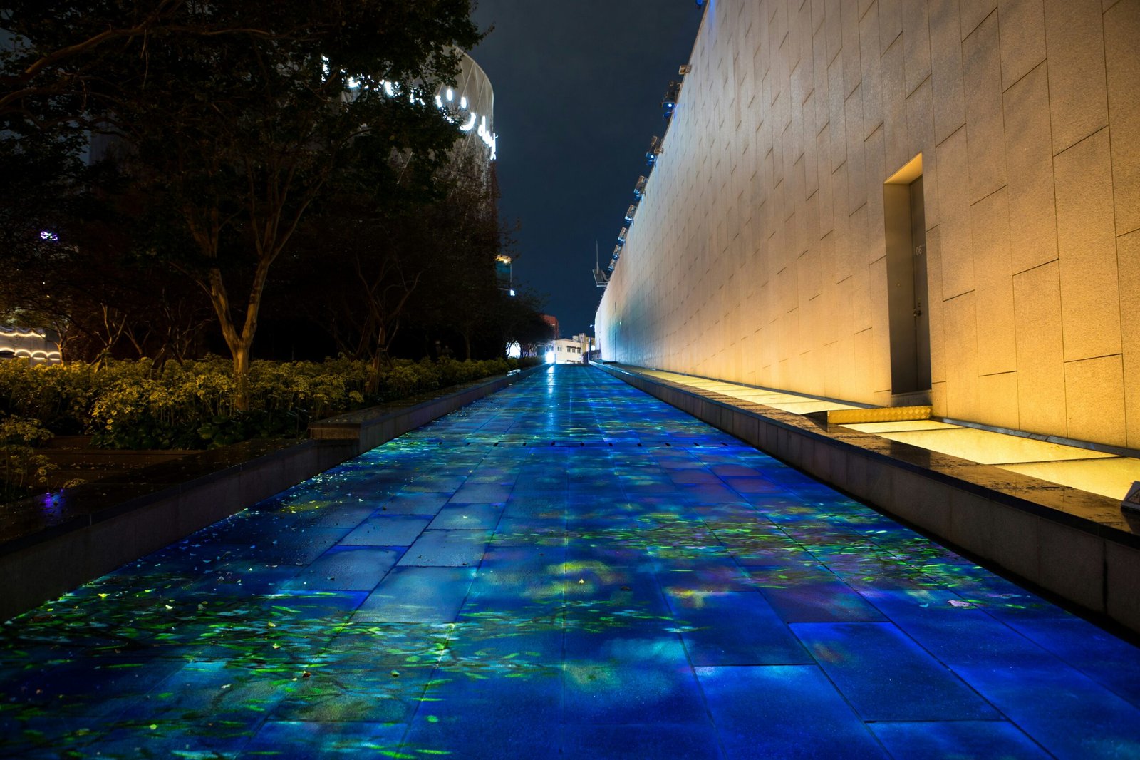 blue and white swimming pool
